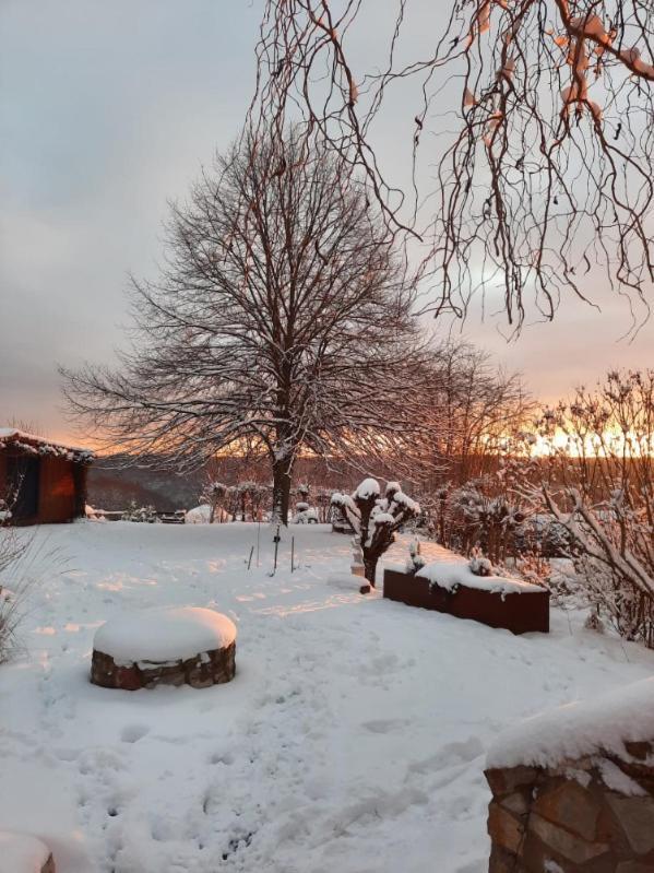 Kuckucksnest - Ferienwohnung Welschneudorf ภายนอก รูปภาพ